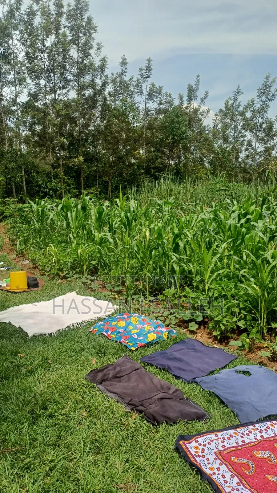 1/2a Makunga in Malaha/Isongo/Makunga