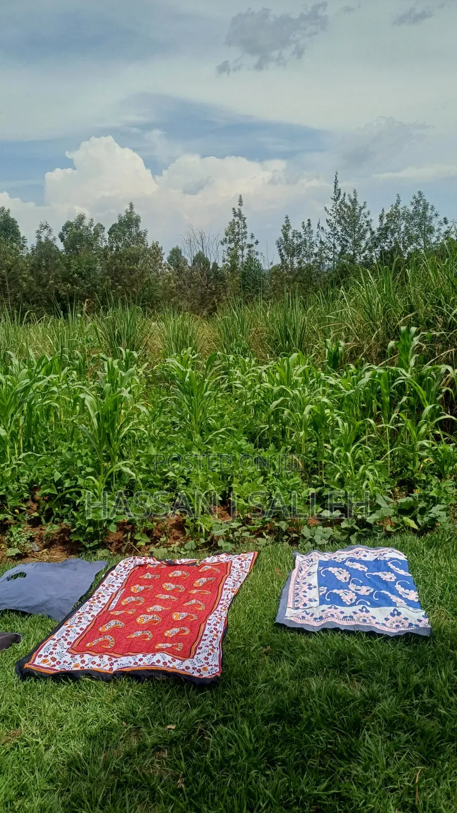 1/2a Makunga in Malaha/Isongo/Makunga