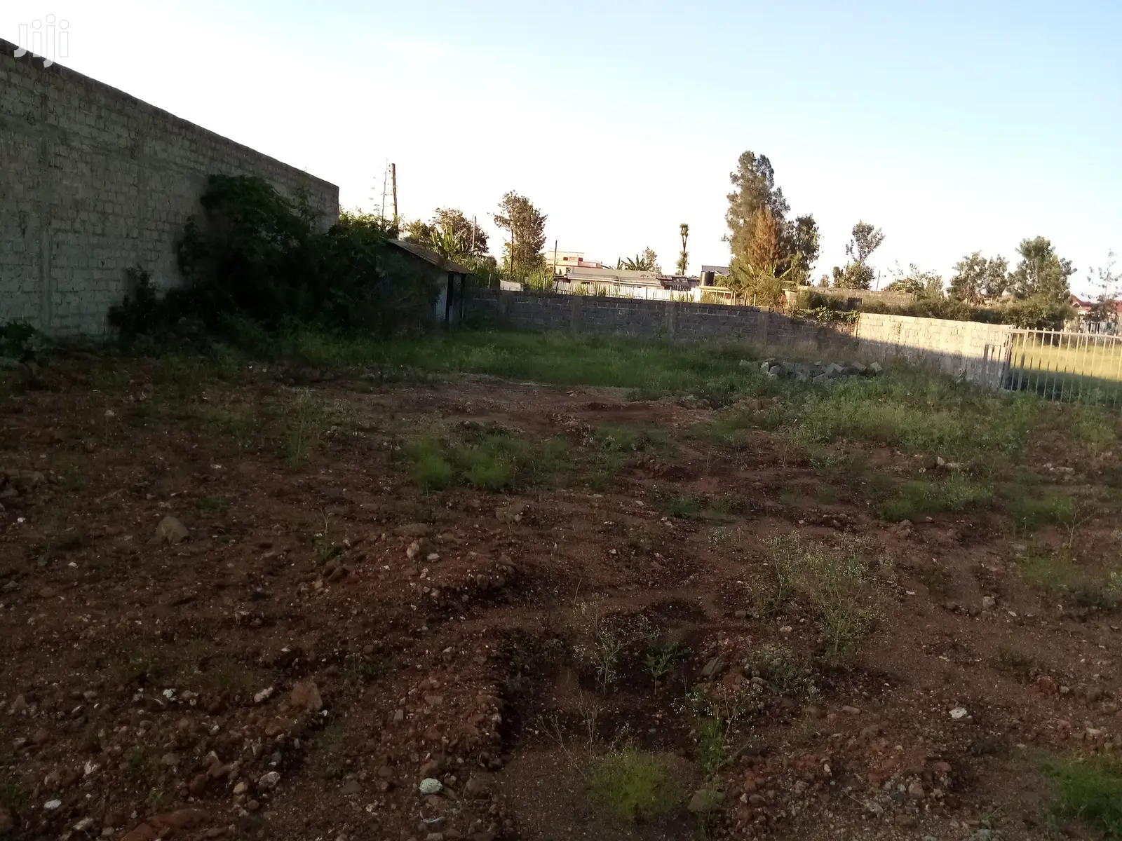 Buy 1/4 Acre Kamakis Plots - Invest in Your Future in Ruiru