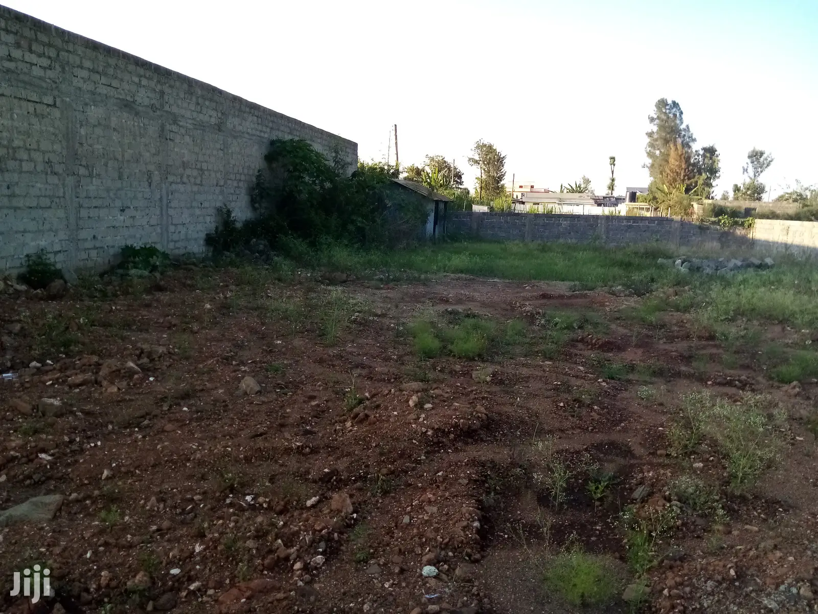 Buy 1/4 Acre Kamakis Plots - Invest in Your Future in Ruiru