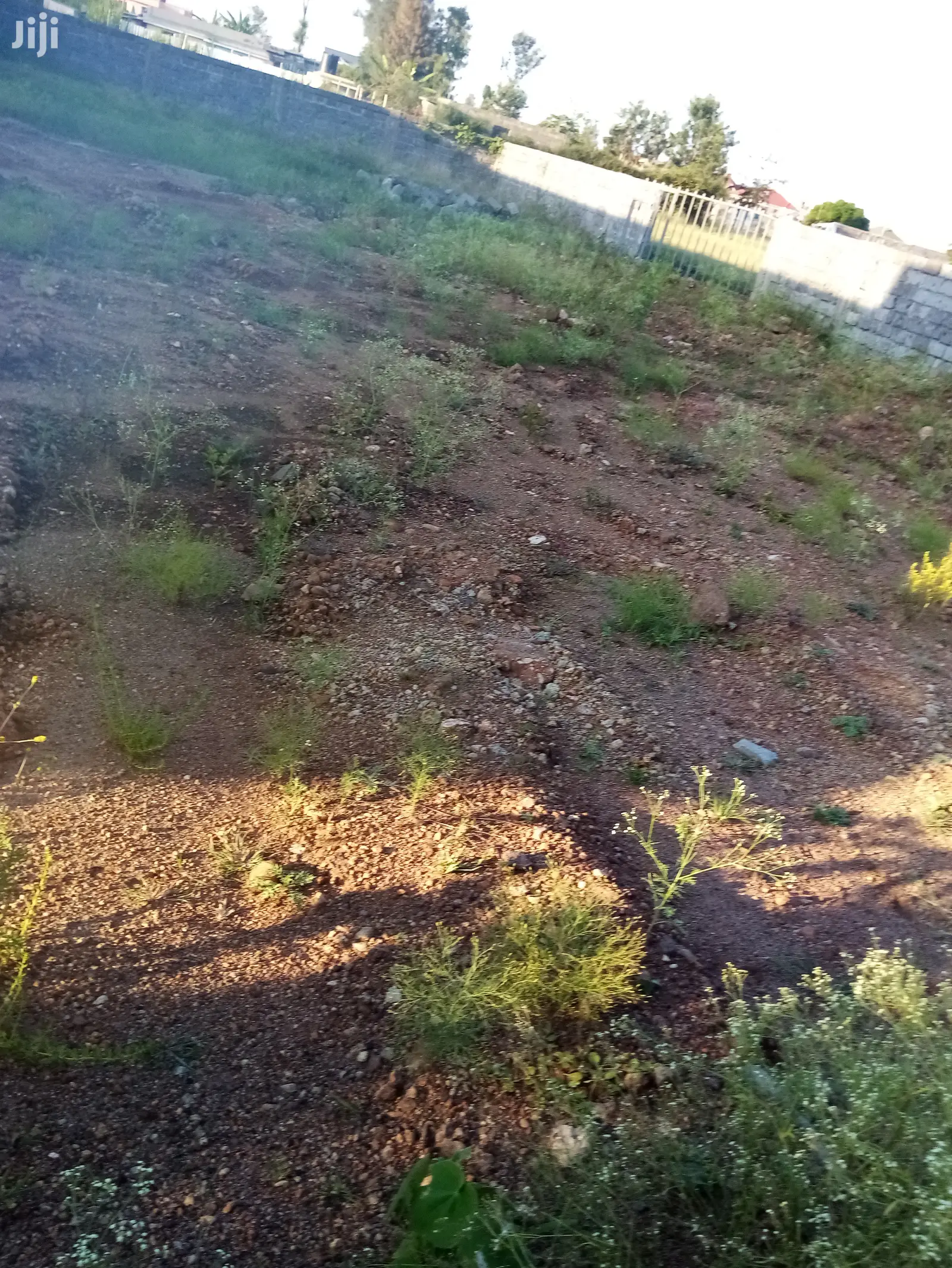 Buy 1/4 Acre Kamakis Plots - Invest in Your Future in Ruiru