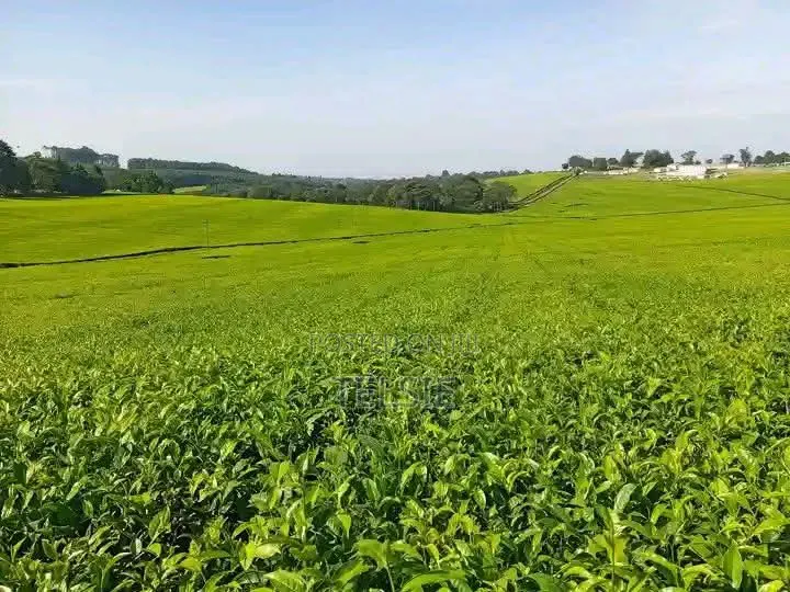 Land for Sale in Tigoni