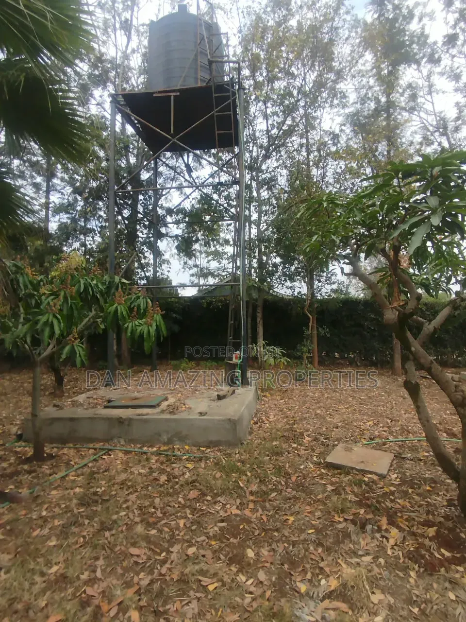 1bdrm Bungalow in Karen, Hardy for rent in Hardy