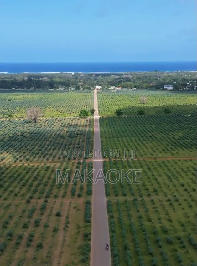 1 Acre of Ocean-View Land for Sale in Vipingo, Kilifi County. in Vipingo