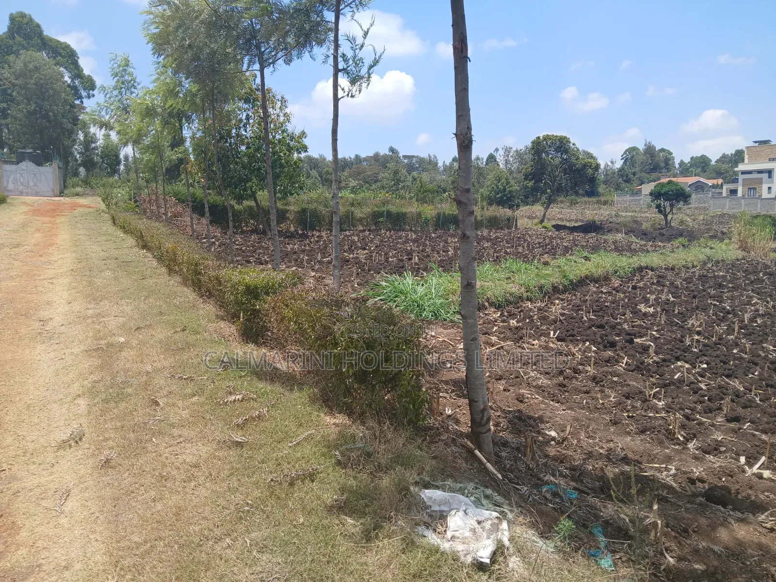 Quick Sale! 100by100 (1/4 Acre) Plot in Olkeri,Ngong Gated-Like Estate in Olkeri