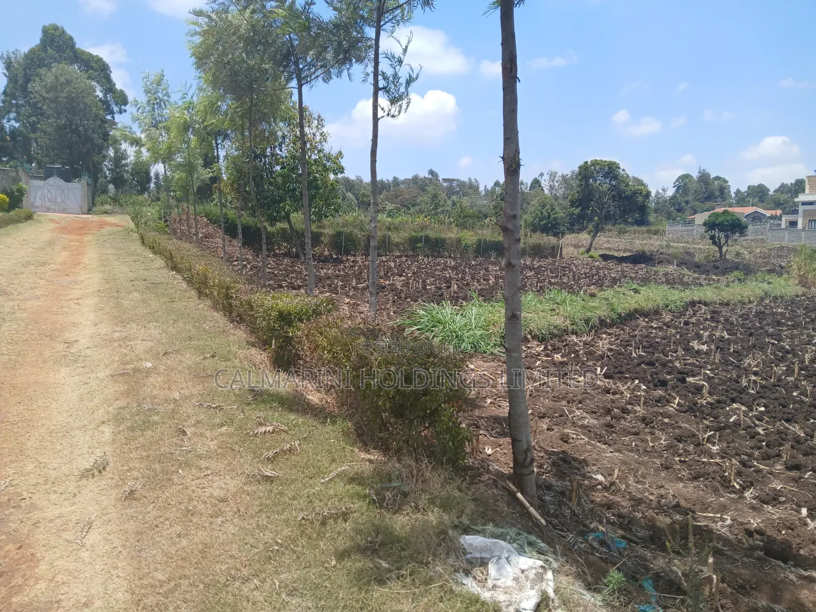 Quick Sale! 100by100 (1/4 Acre) Plot in Olkeri,Ngong Gated-Like Estate in Olkeri