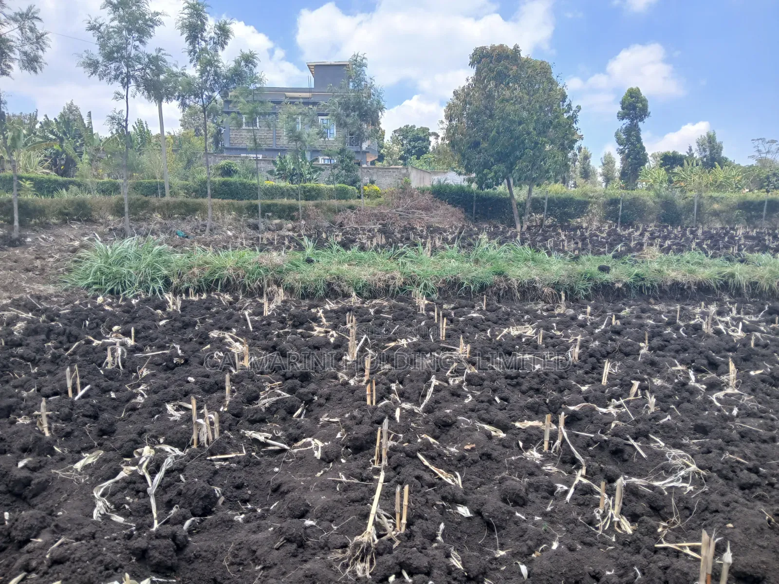 Quick Sale! 100by100 (1/4 Acre) Plot in Olkeri,Ngong Gated-Like Estate in Olkeri