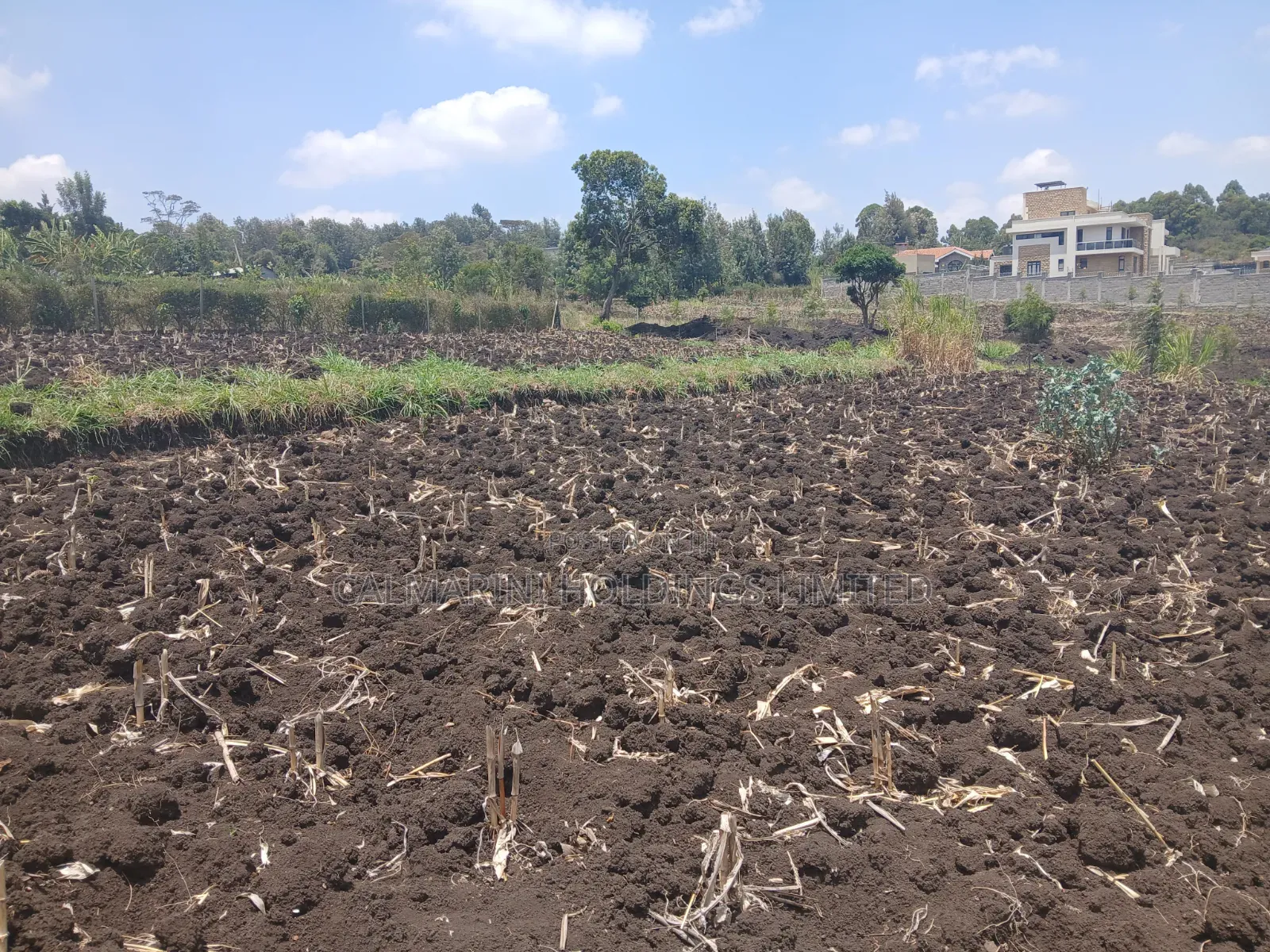 Quick Sale! 100by100 (1/4 Acre) Plot in Olkeri,Ngong Gated-Like Estate in Olkeri