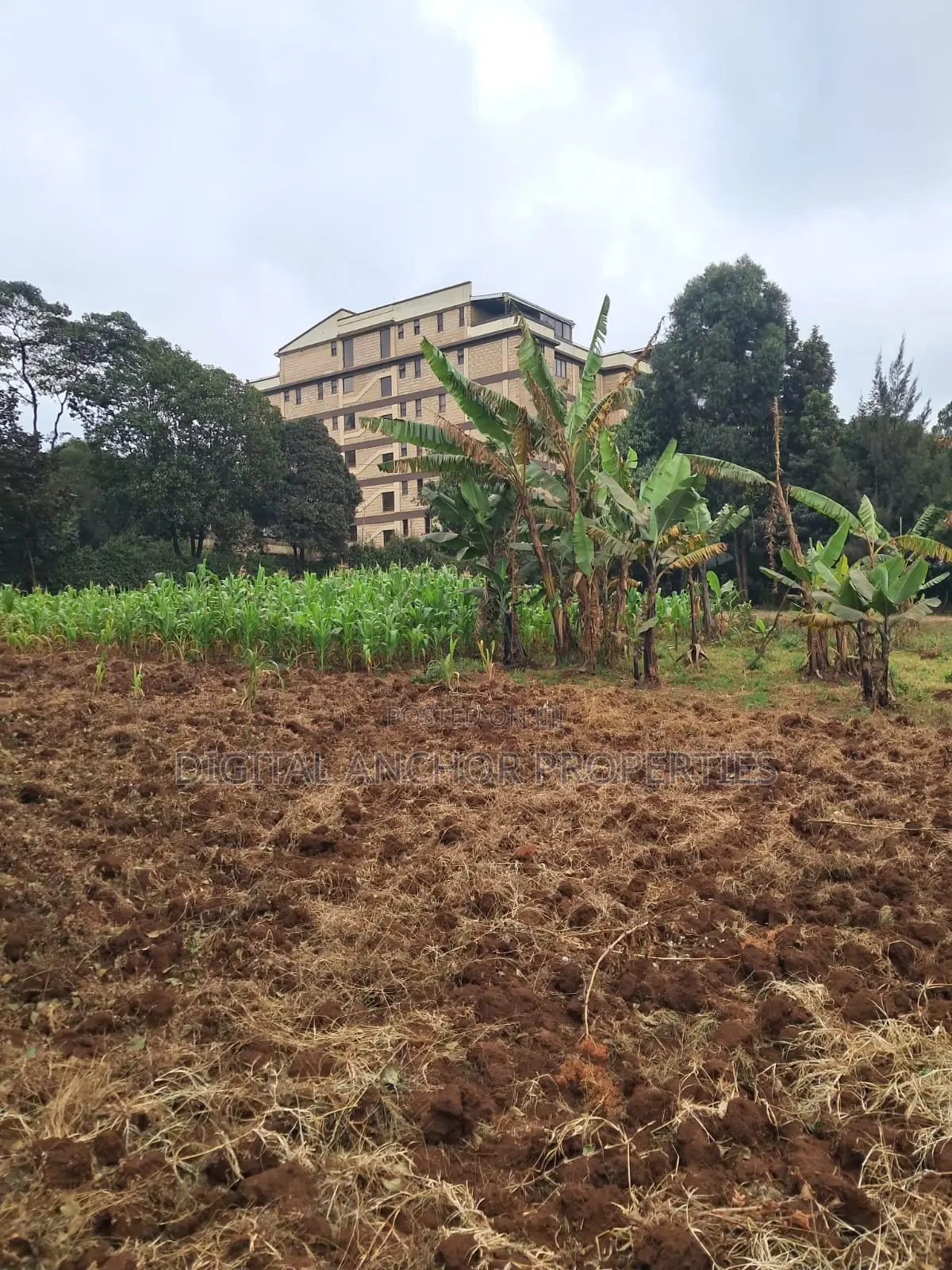 Sale 1.5 Acre Sigona Limuru in Limuru