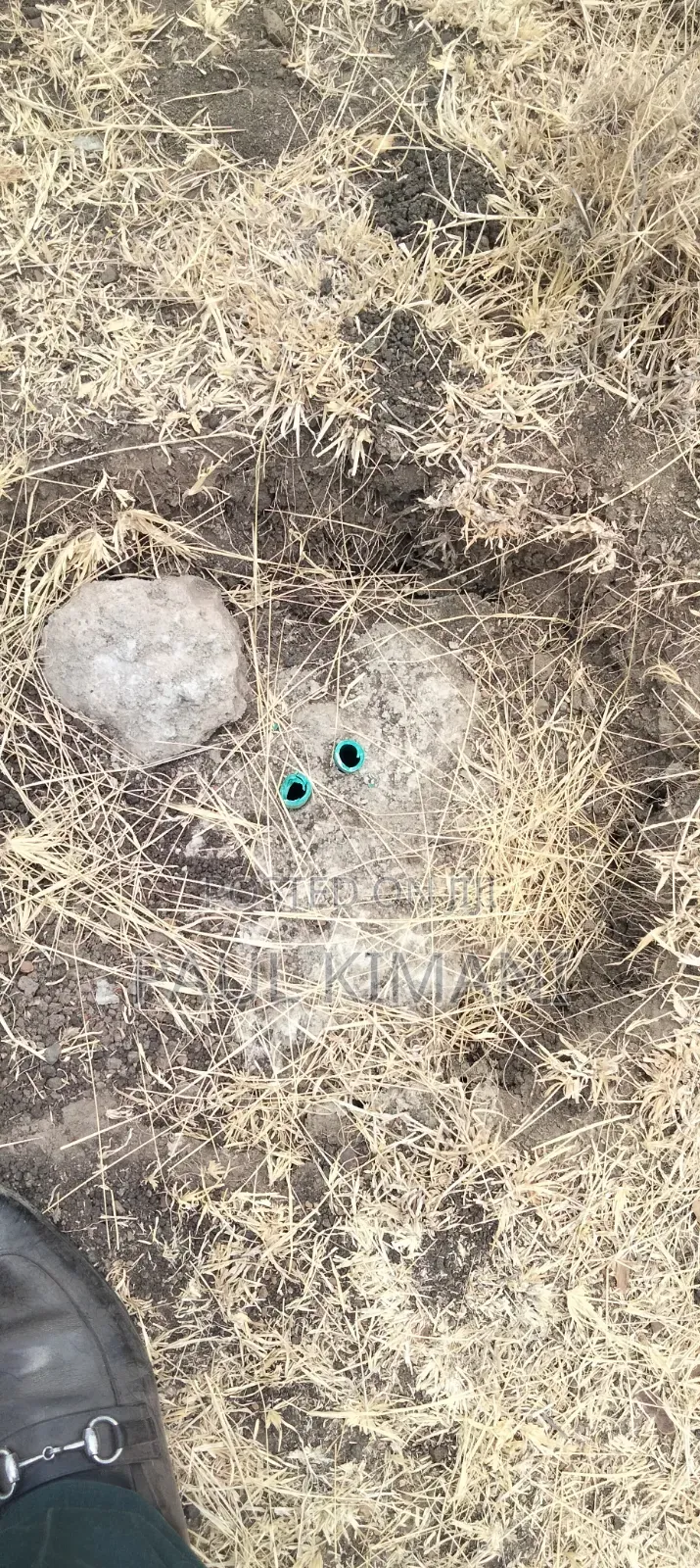 50*100 Plots at Mwalimu Farm Ruiru in Kamakis