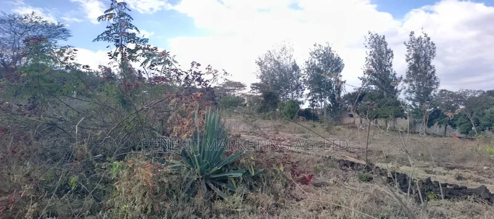 Quarter Acre for Sale in Rongai, Kahuho. 700 Metres From Tarmac. in Kiserian