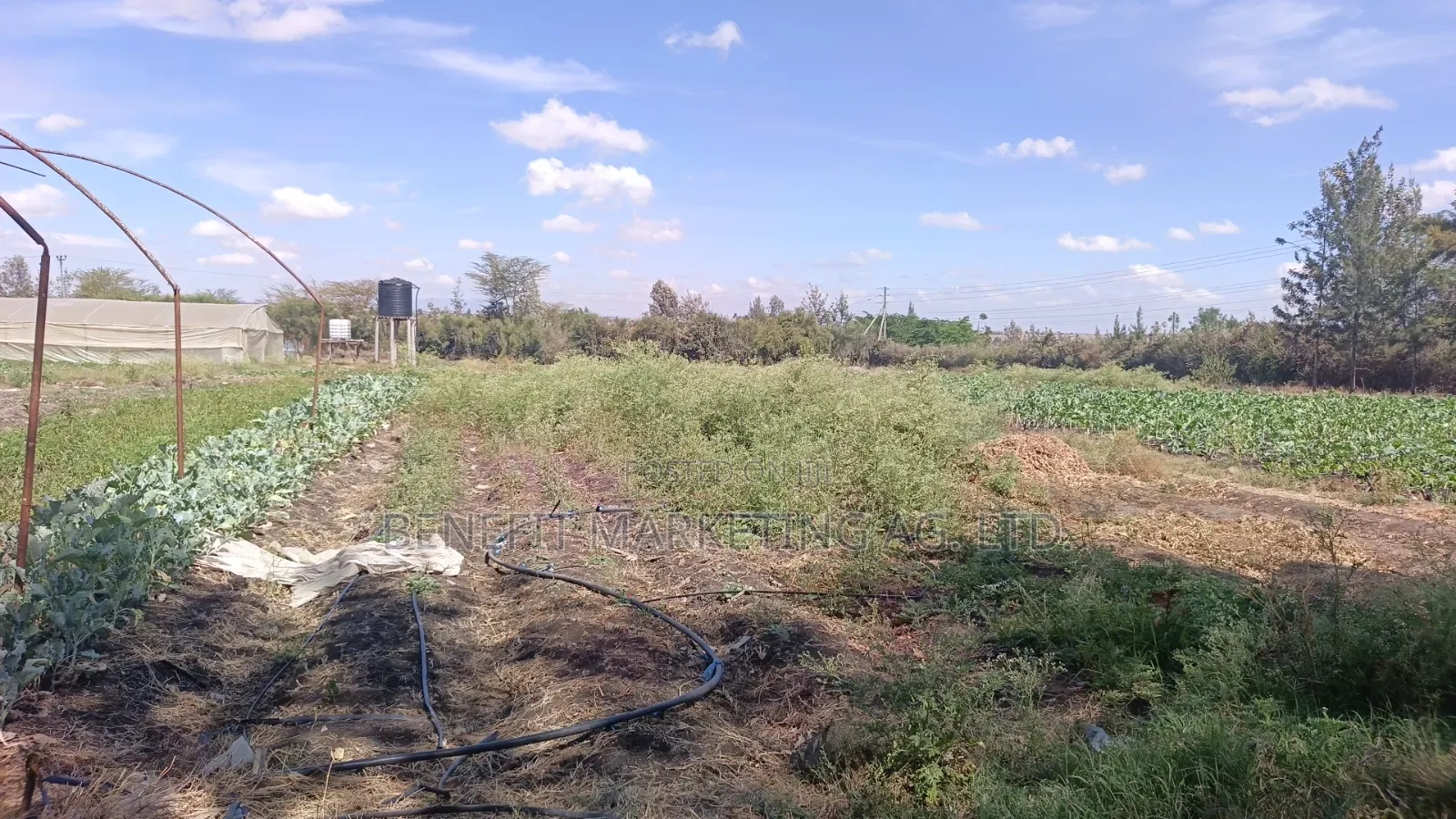 5 Acres for Sale in Kitengela 700 Metres From Tarmac in Kiserian