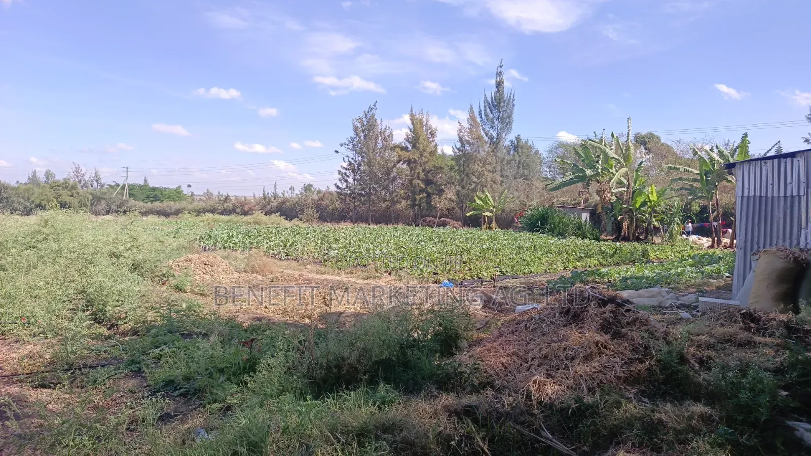 5 Acres for Sale in Kitengela 700 Metres From Tarmac in Kiserian