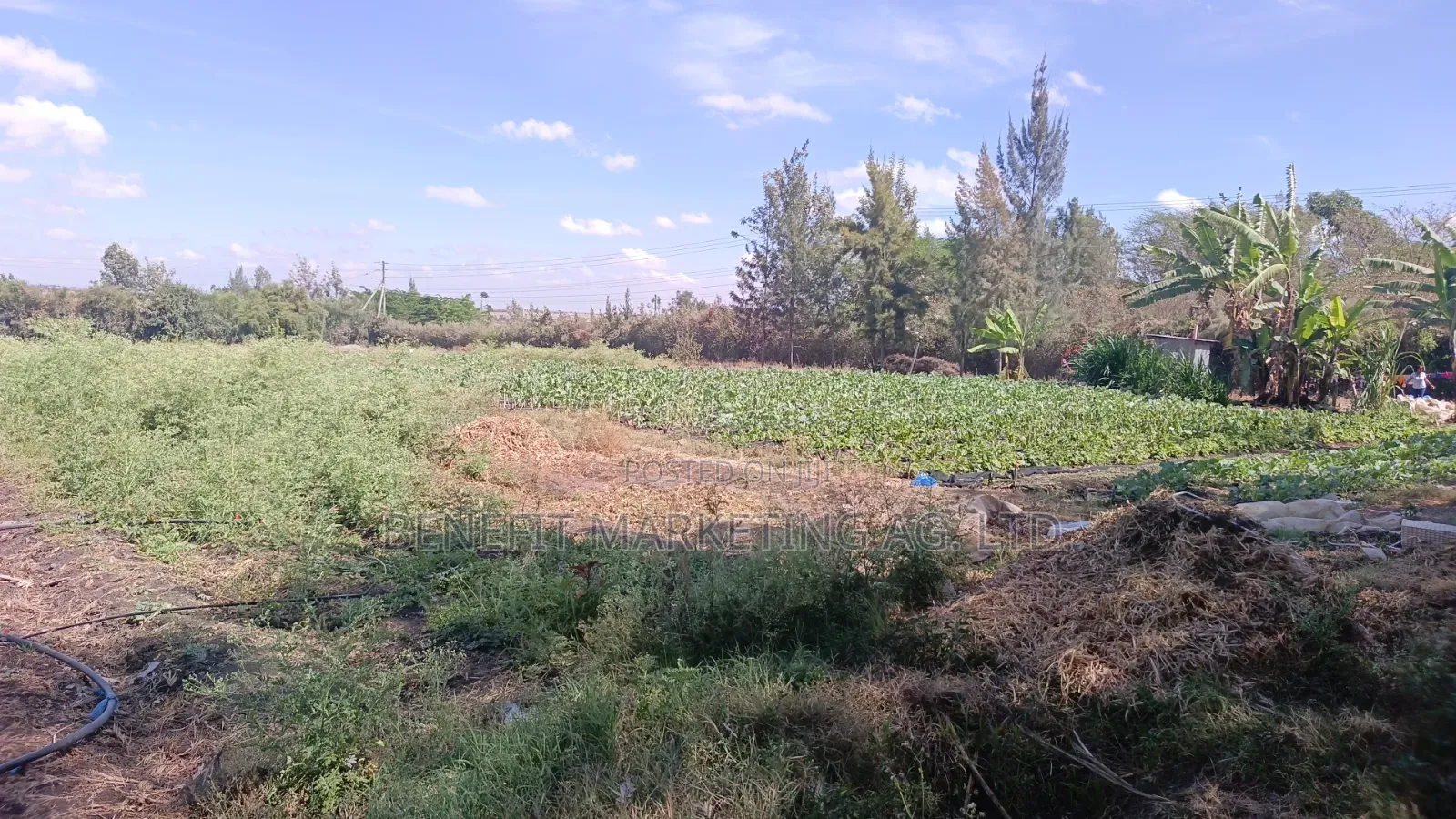 5 Acres for Sale in Kitengela 700 Metres From Tarmac in Kiserian