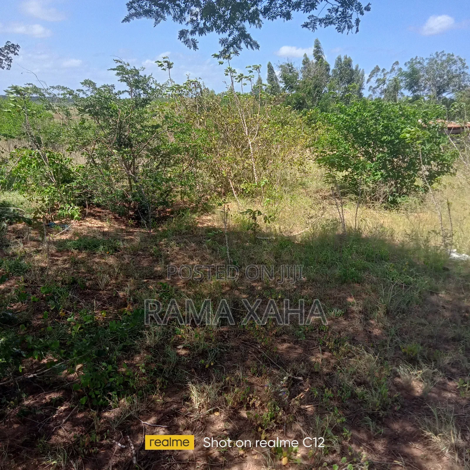 10 Acres for Sale at Girimacha, Sosobora Area in Jilore
