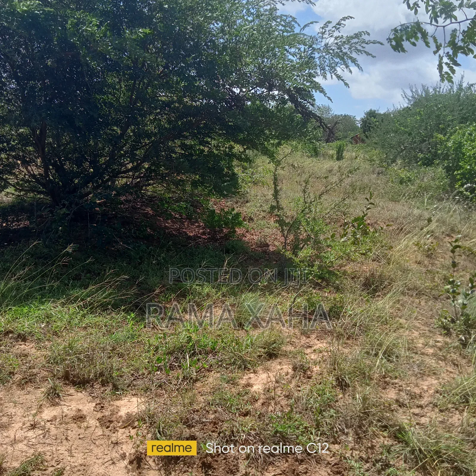 10 Acres for Sale at Girimacha, Sosobora Area in Jilore