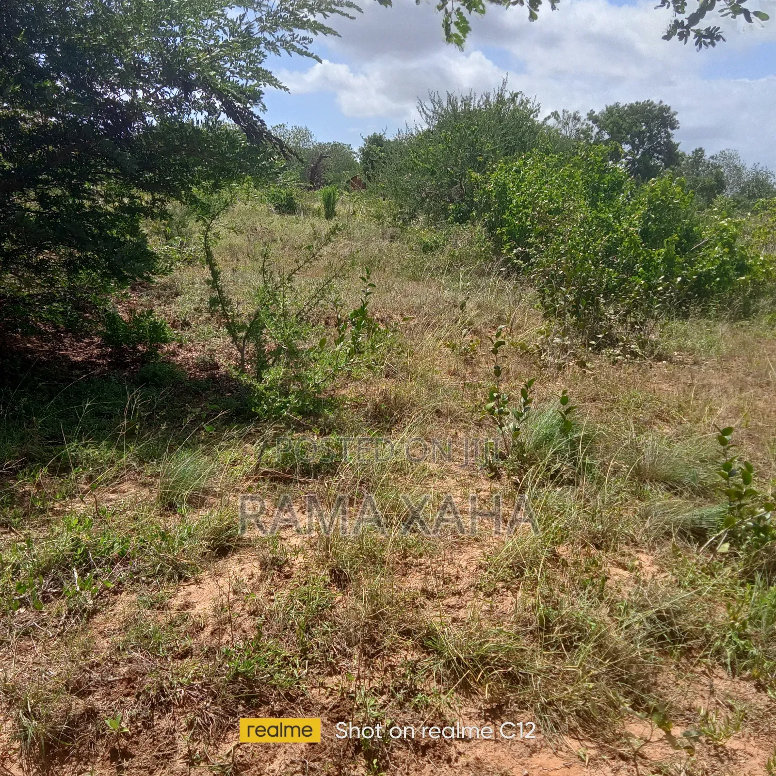 10 Acres for Sale at Girimacha, Sosobora Area in Jilore