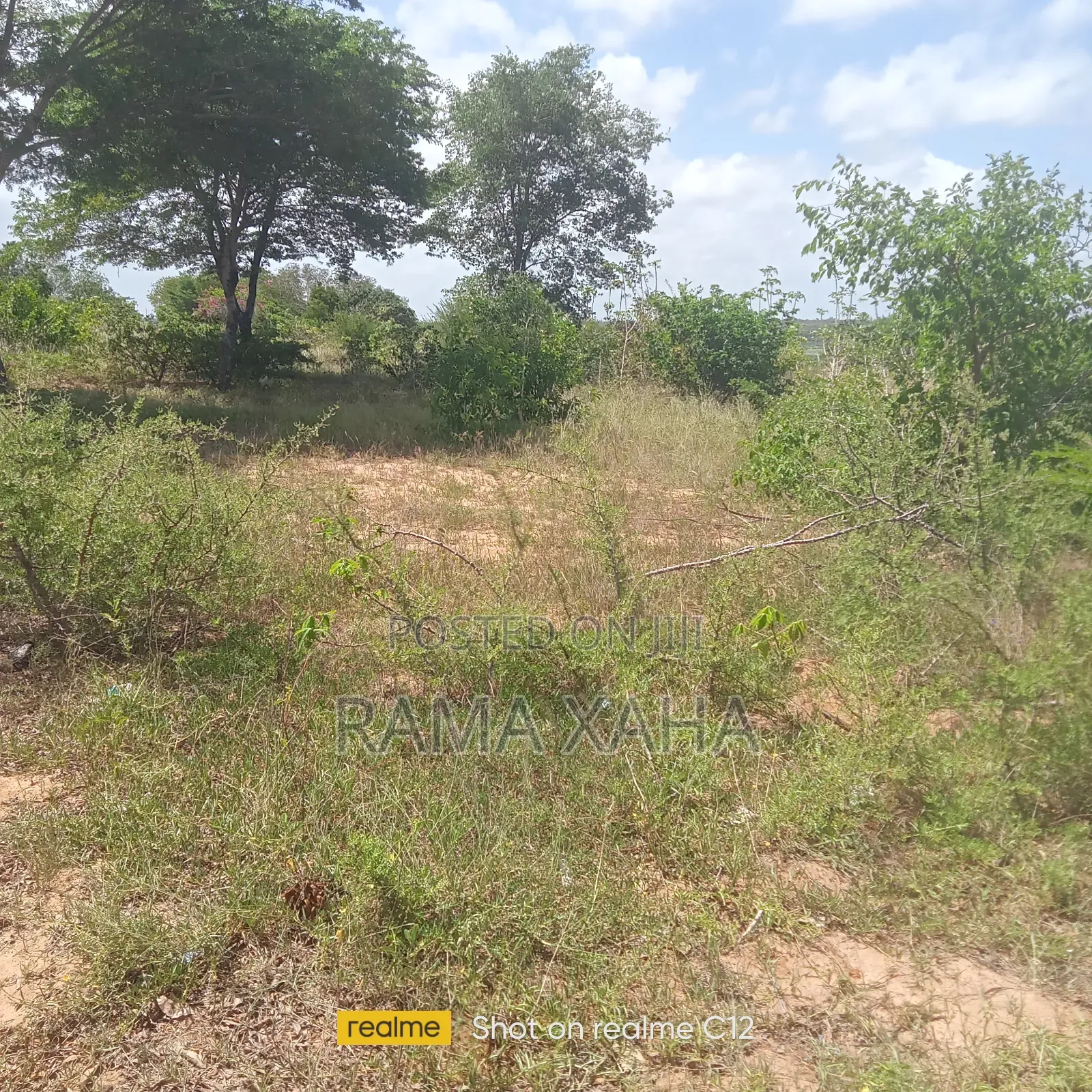 10 Acres for Sale at Girimacha, Sosobora Area in Jilore