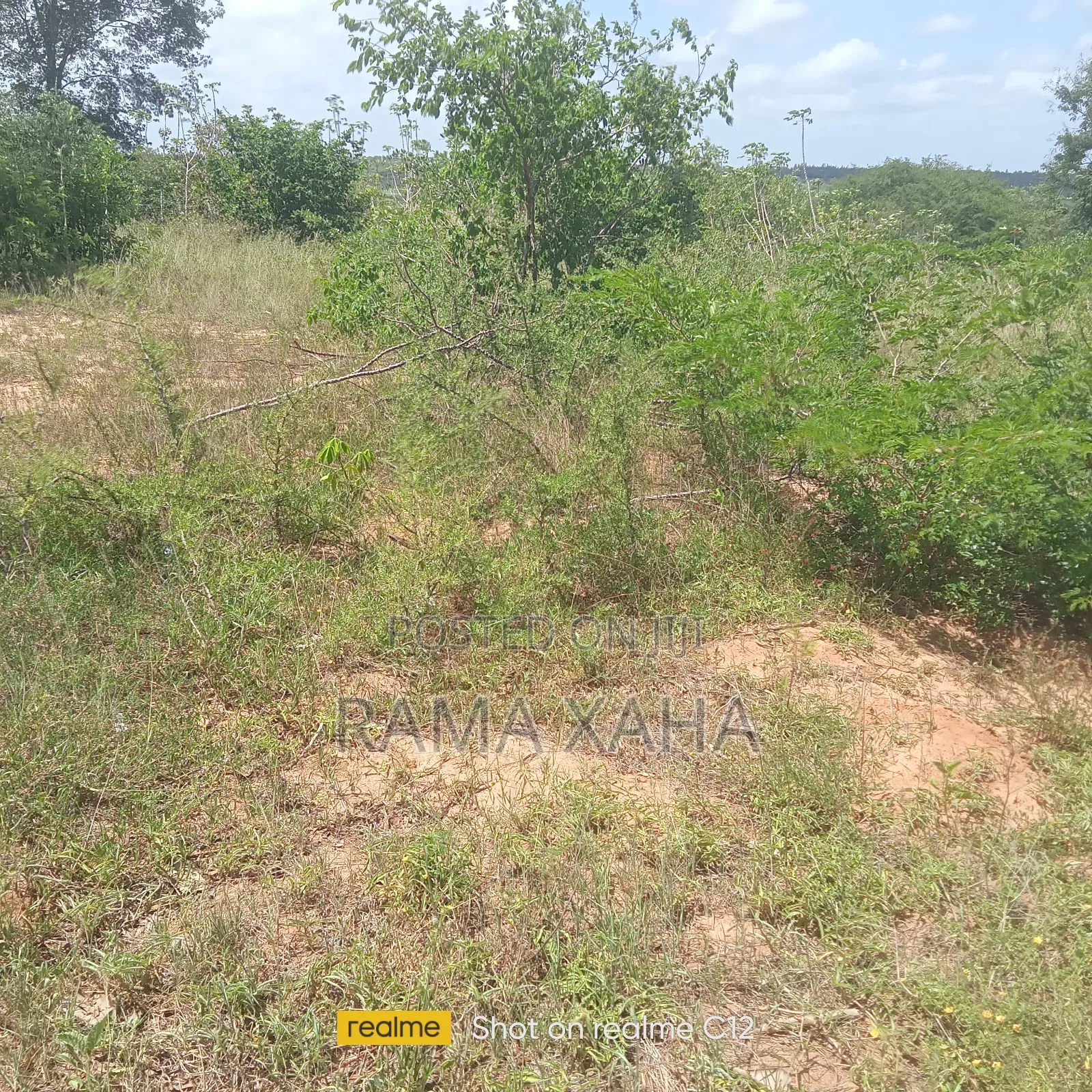 10 Acres for Sale at Girimacha, Sosobora Area in Jilore