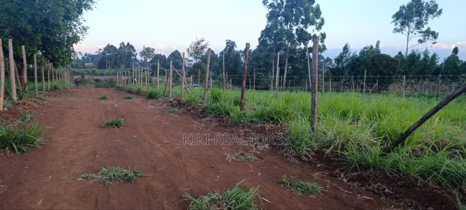 Kikuyu Residential and Prime Plots for Sale (Kerwa) in Zambezi/Sigona