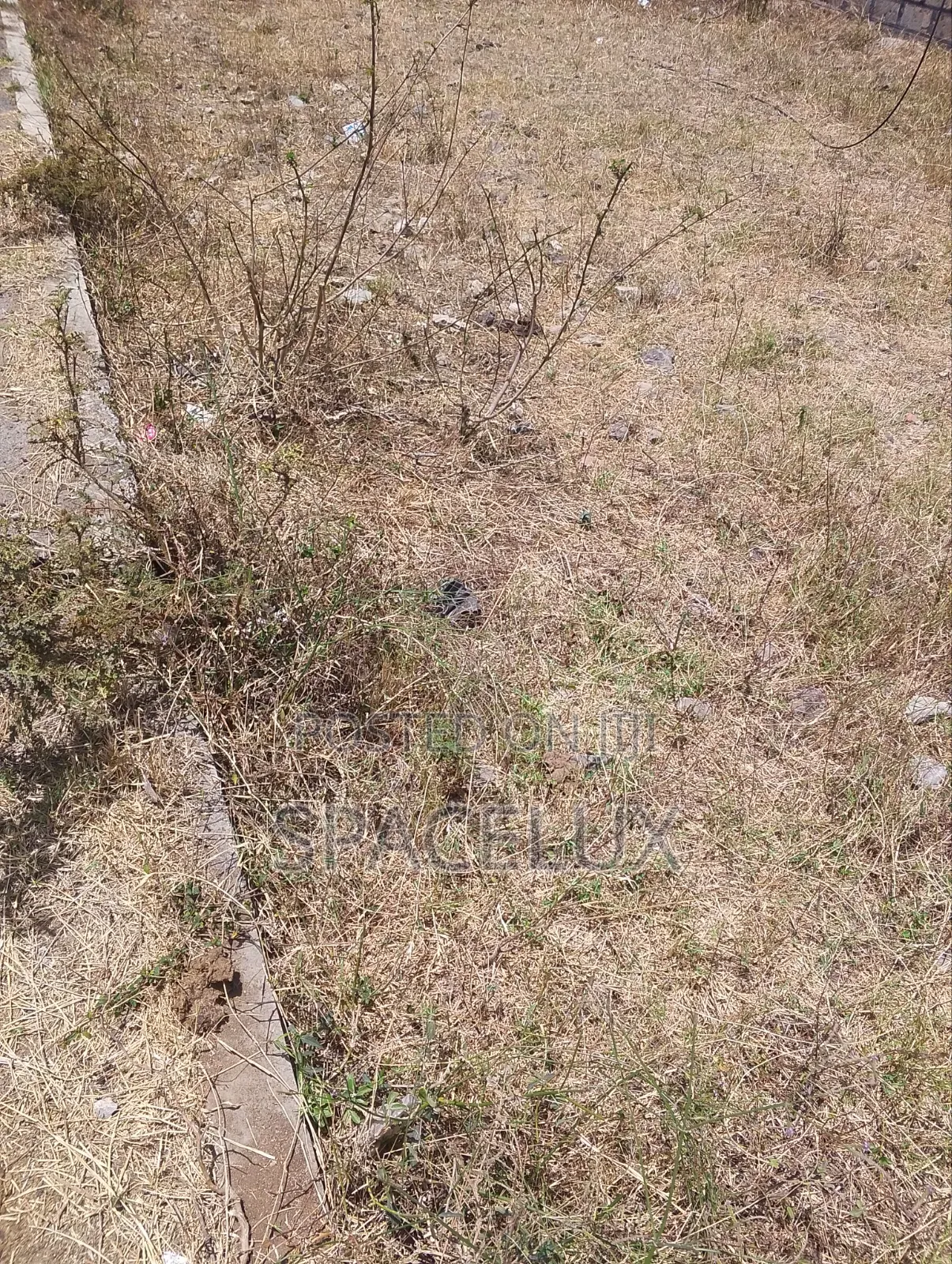 Prime 0.25 Acres Land Parklands in Parklands/Highridge