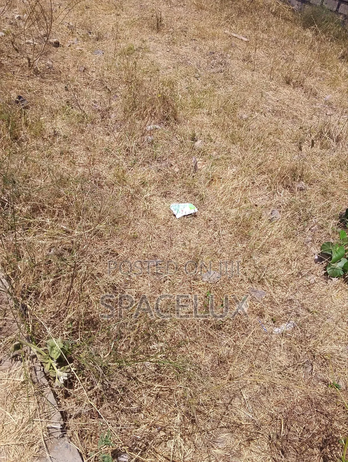 Prime 0.25 Acres Land Parklands in Parklands/Highridge