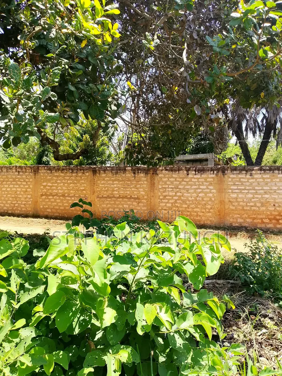 An 1/8 Acre Treasurer at Mvindeni, 500 Metres Direct From Tarmac Road in Diani