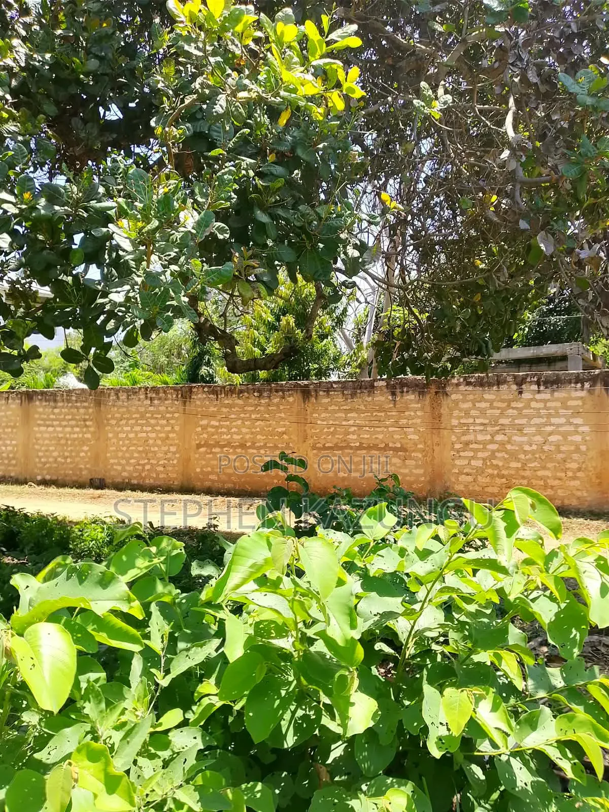 An 1/8 Acre Treasurer at Mvindeni, 500 Metres Direct From Tarmac Road in Diani