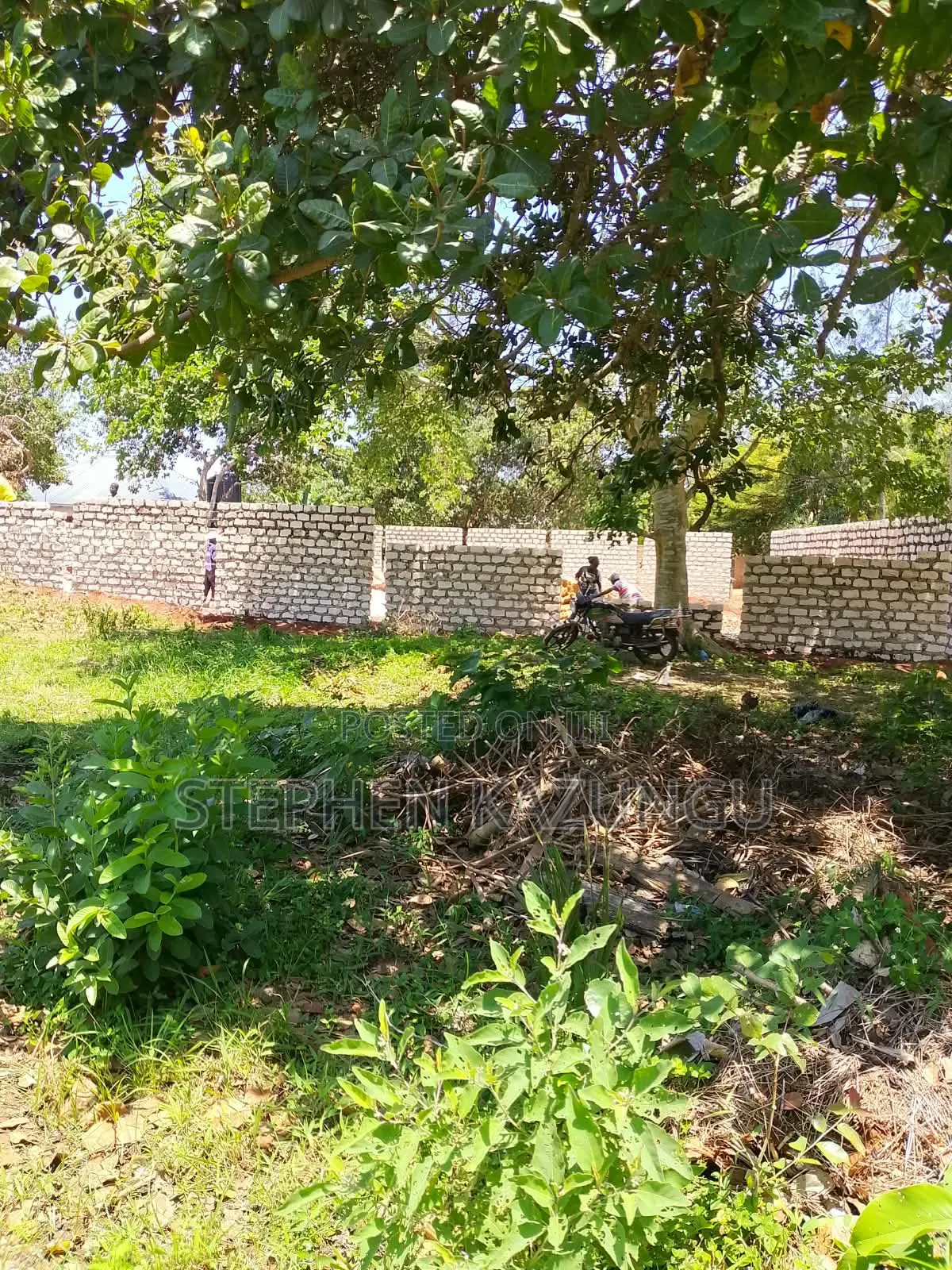 An 1/8 Acre Treasurer at Mvindeni, 500 Metres Direct From Tarmac Road in Diani