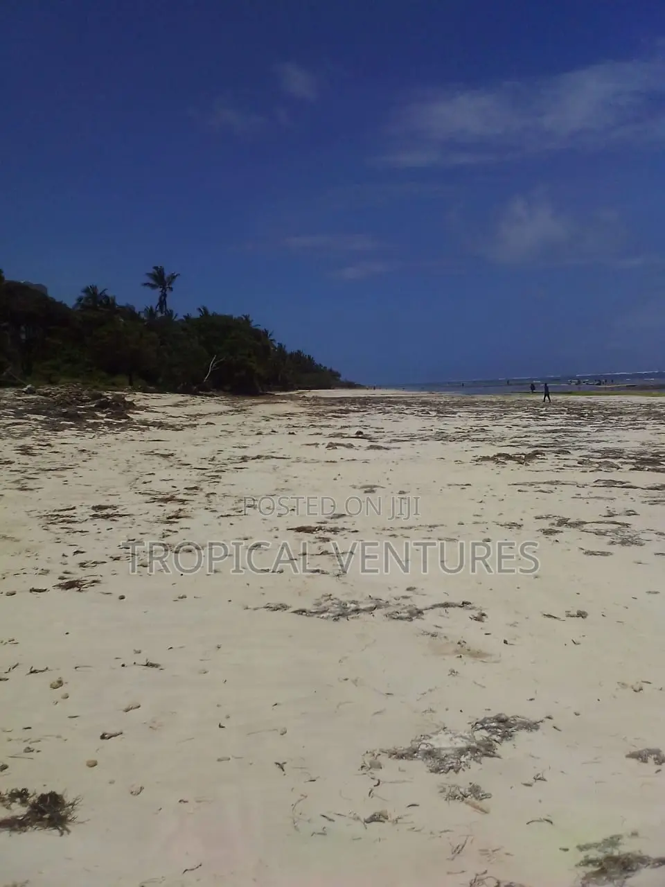 Beach Land for Sale in Diani