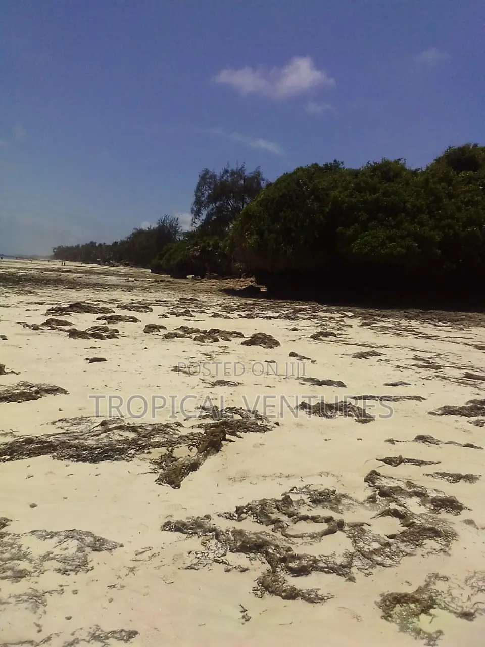 Beach Land for Sale in Diani