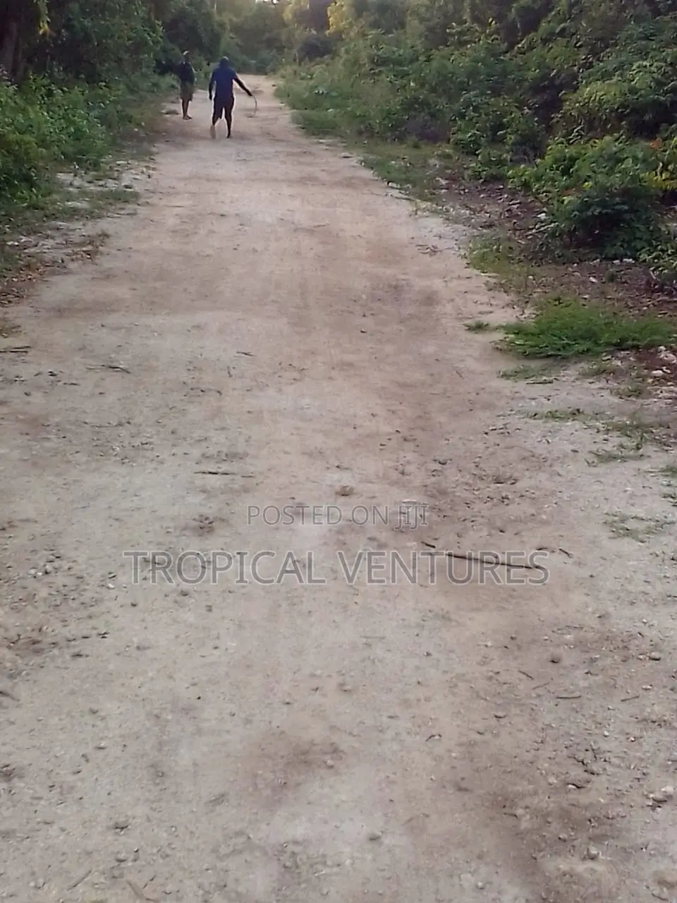 Beach Land for Sale in Diani