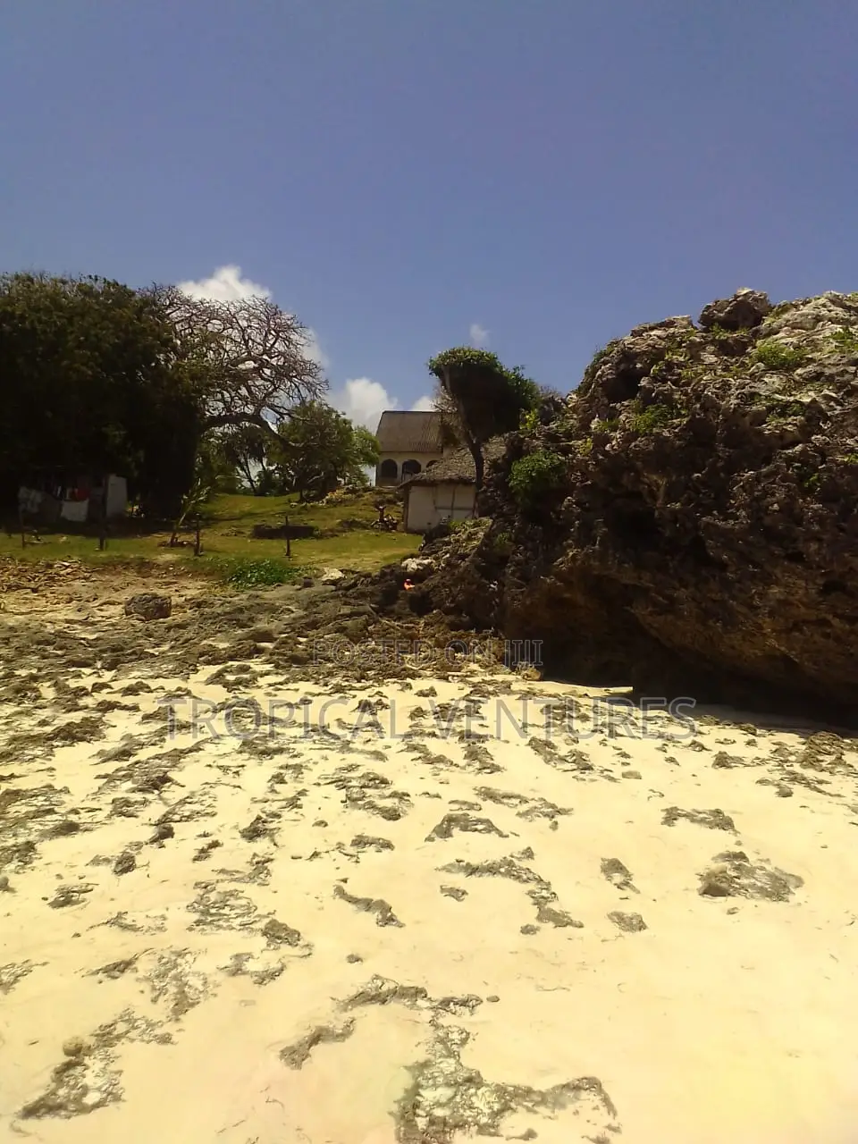 Beach Land for Sale in Diani