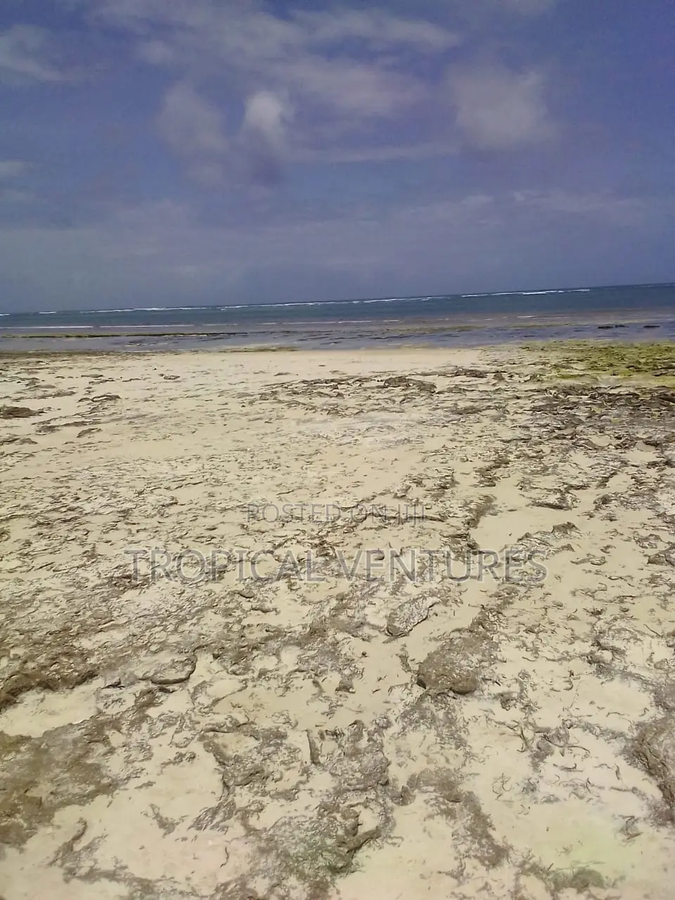 Beach Land for Sale in Diani