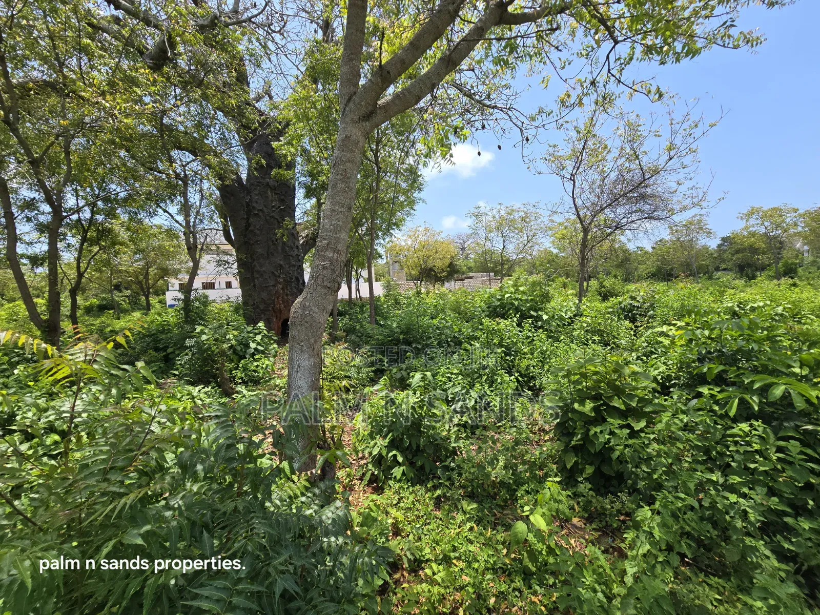 Prime 1-Acre Land for Sale in Diani!  in Diani