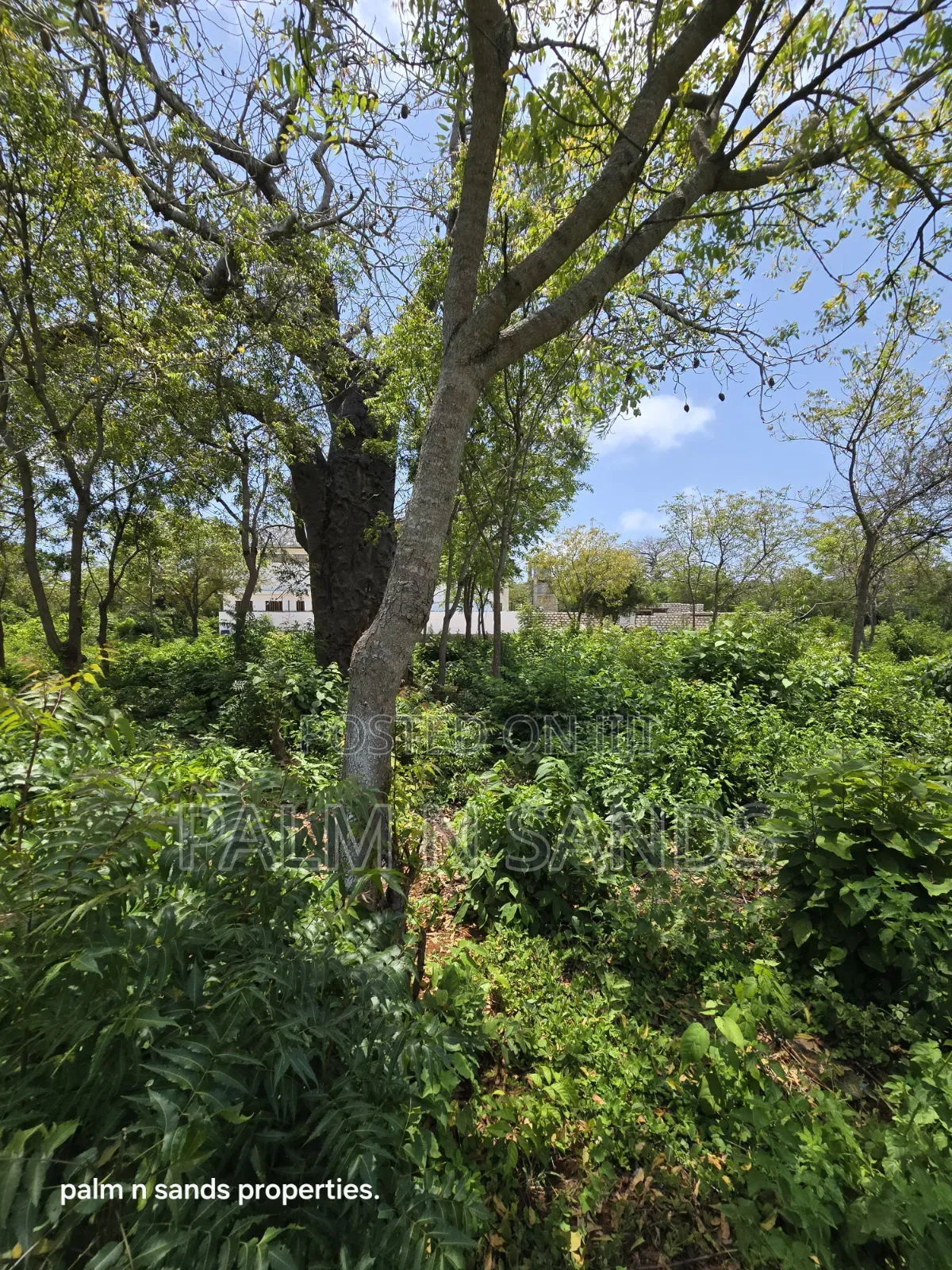 Prime 1-Acre Land for Sale in Diani!  in Diani