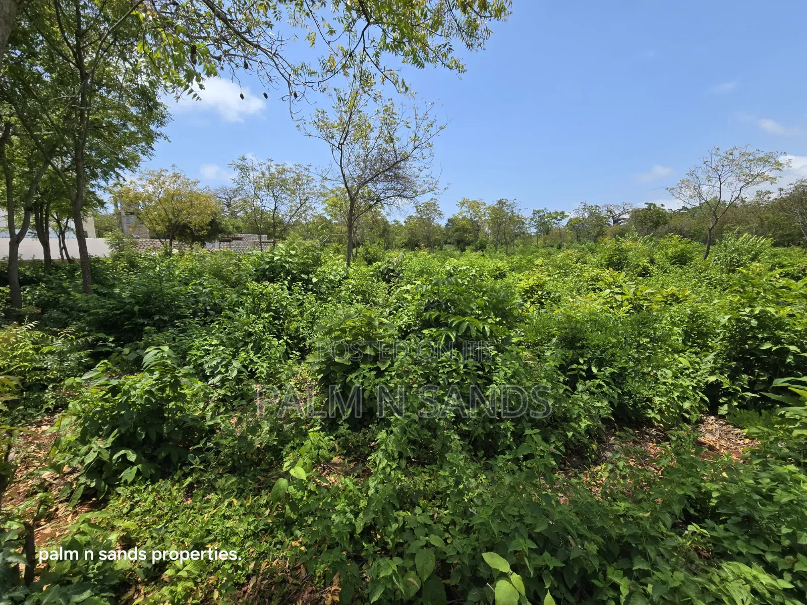 Prime 1-Acre Land for Sale in Diani!  in Diani
