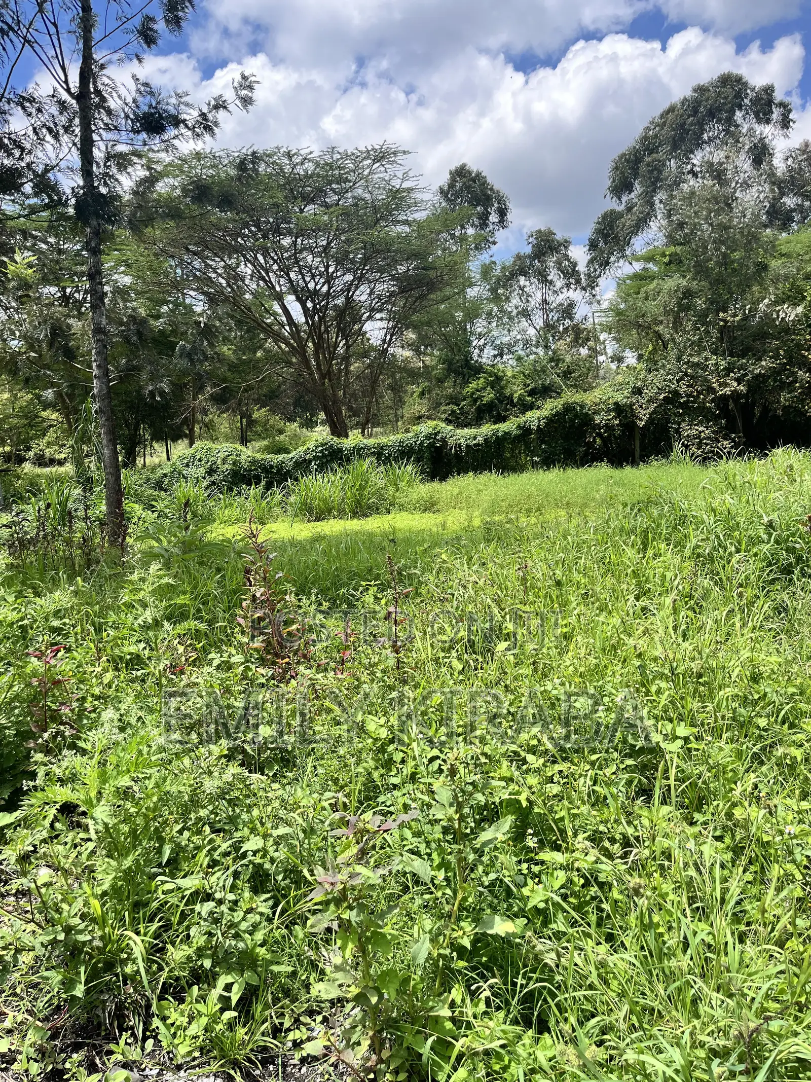 0.15 Ha Land Bordering Lenana School, Riruta | Freehold Title in Kabiria