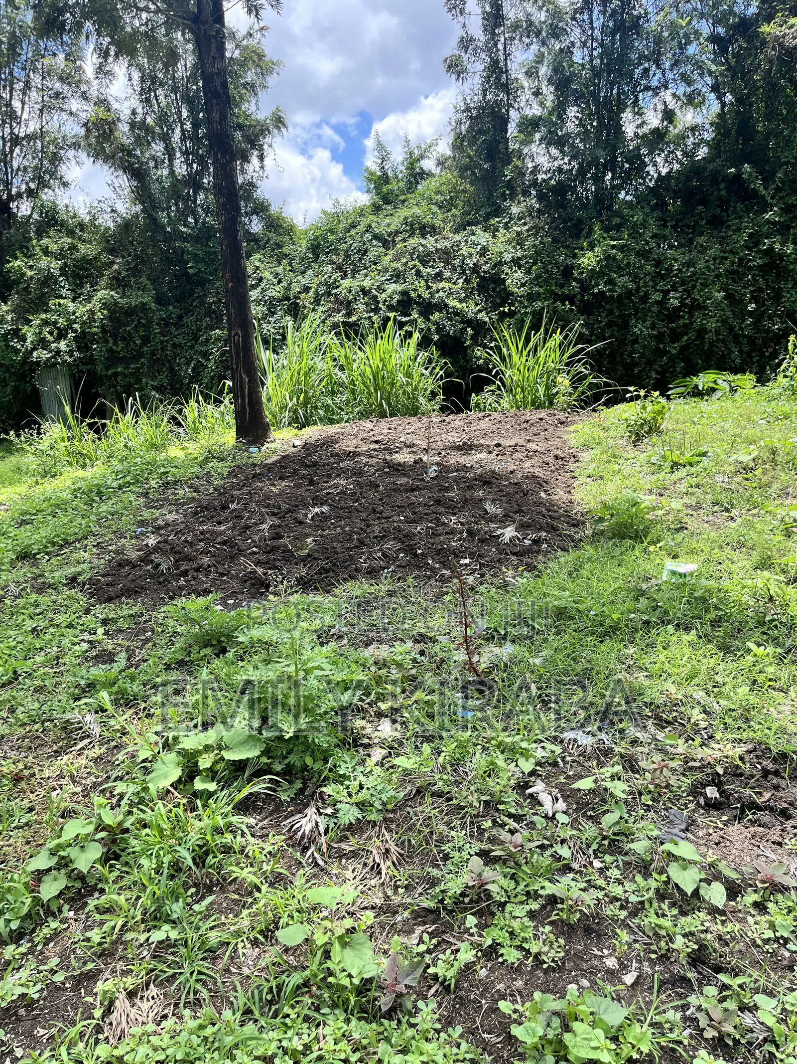 0.15 Ha Land Bordering Lenana School, Riruta | Freehold Title in Kabiria