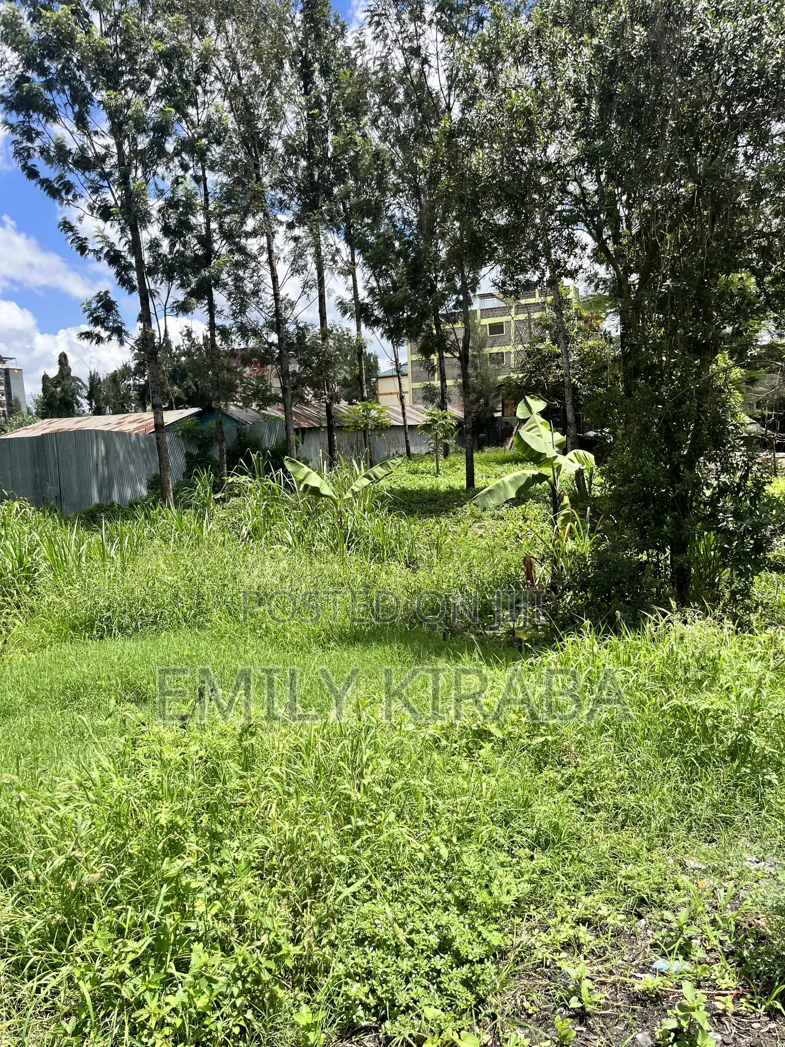 0.15 Ha Land Bordering Lenana School, Riruta | Freehold Title in Kabiria