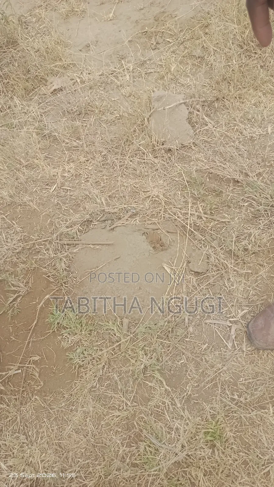 50 Acrs Along Maimahiu -Naivasha.Just Before longonot.Touching Tarmac. in Mai Mahiu