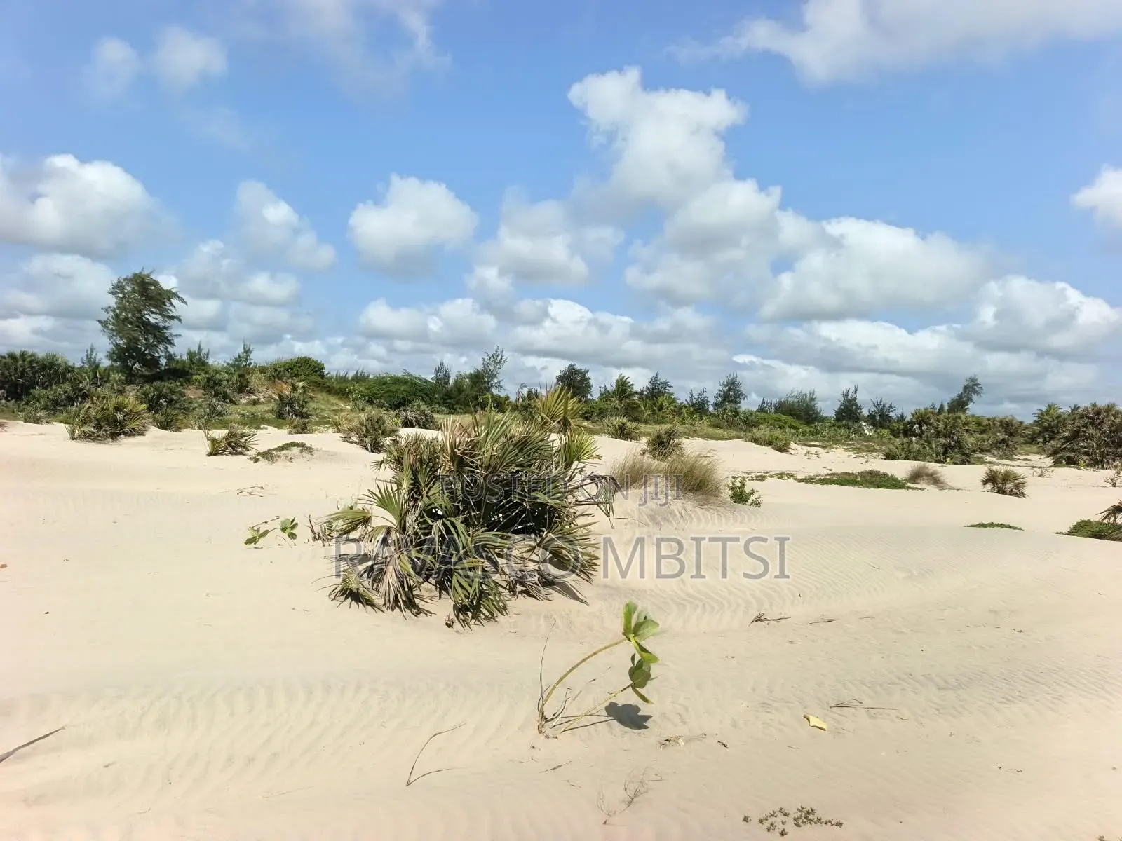 18 Acres Forsale First Row Beach Near to Patapata Malindi. in Town Centre