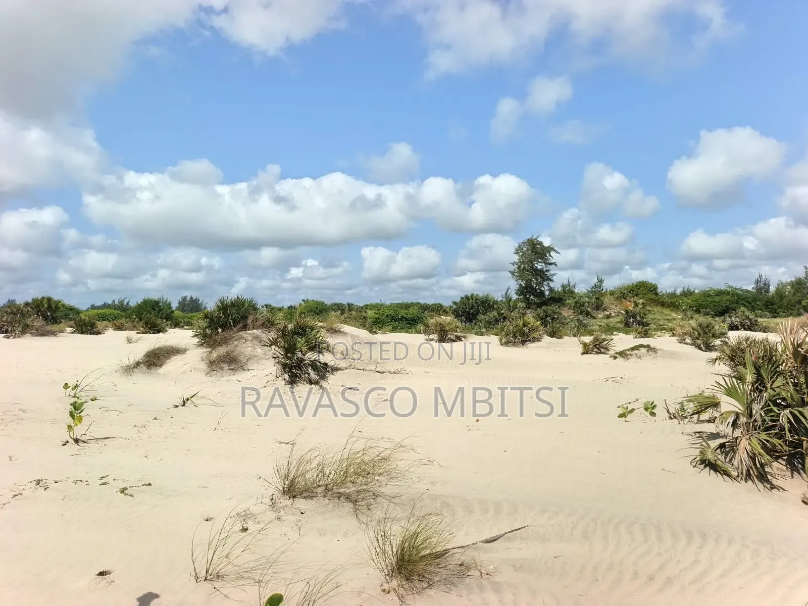 18 Acres Forsale First Row Beach Near to Patapata Malindi. in Town Centre