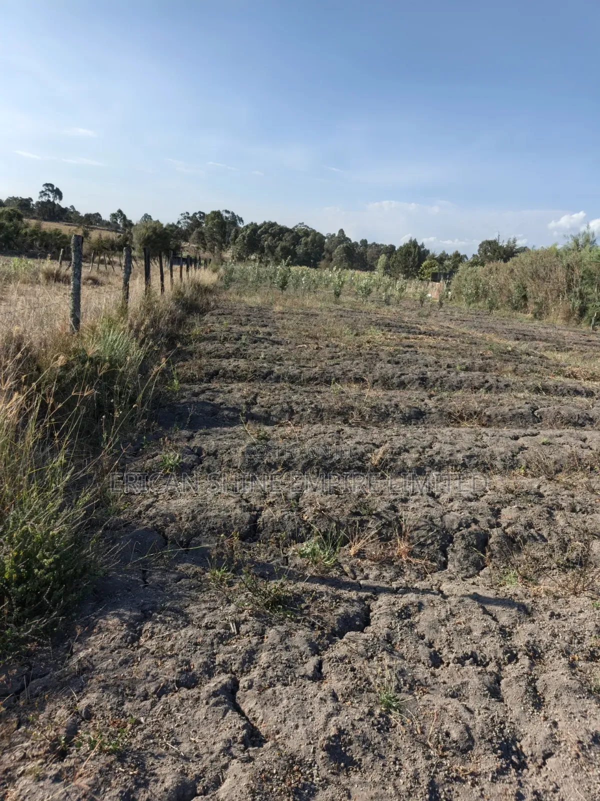 1acre Land for Sale in Naromoru in Naromoru Kiamathaga
