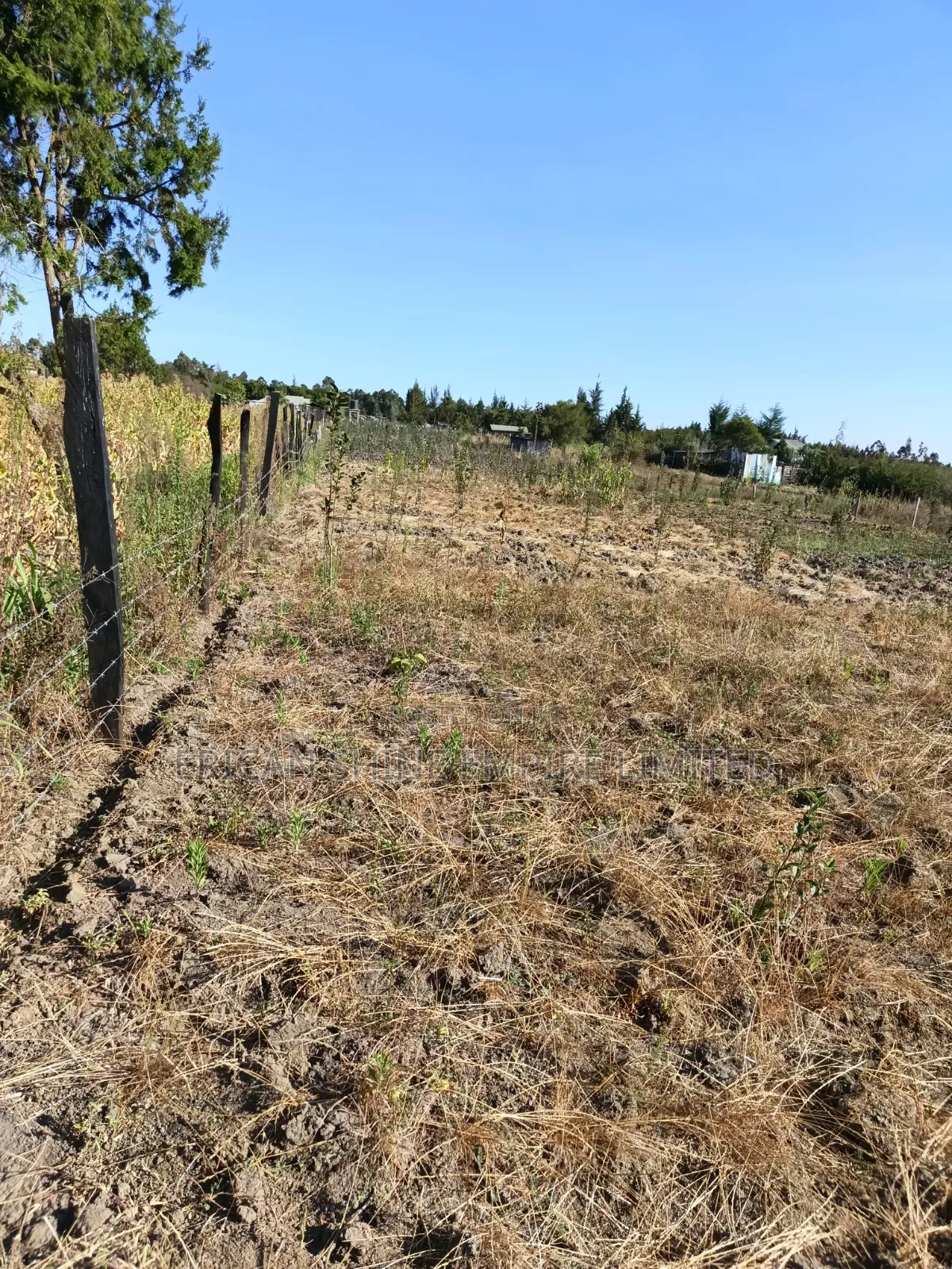 1acre Land for Sale in Naromoru in Naromoru Kiamathaga