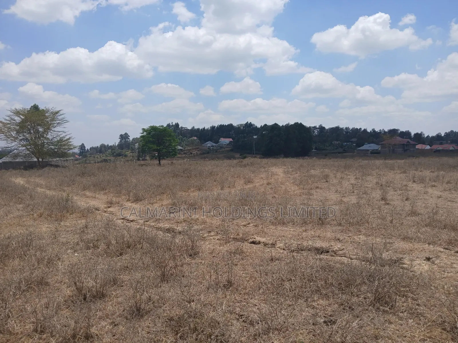 Quick Distress DealPrime Half Acre in Matasia, Ngong at Kes 5.6M in Matasia