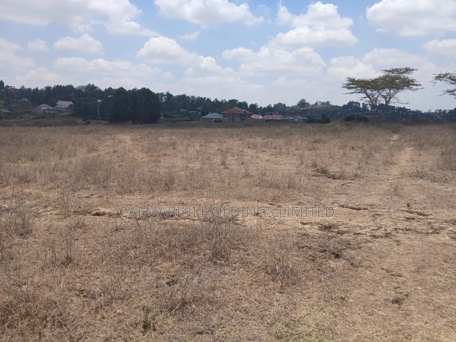 Quick Distress DealPrime Half Acre in Matasia, Ngong at Kes 5.6M in Matasia