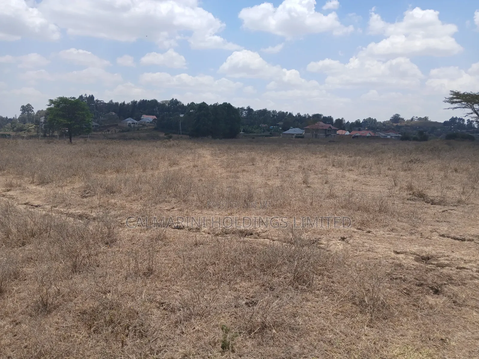Quick Distress DealPrime Half Acre in Matasia, Ngong at Kes 5.6M in Matasia