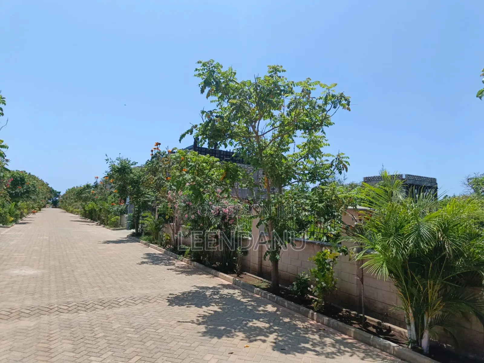 Beach One Plot for Sale1/2 Acre in Kinondo