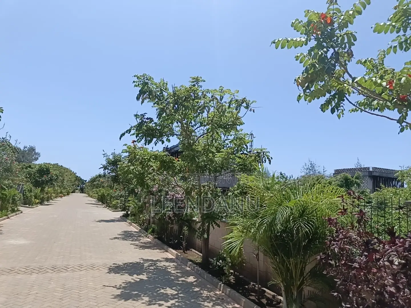 Beach One Plot for Sale1/2 Acre in Kinondo